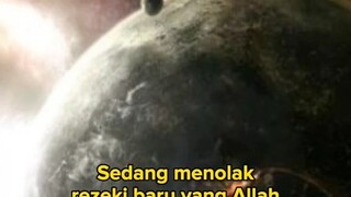 BEBERAPA ALASAN KENAPA KUCING LIAR DATANG KE RUMAH KITA