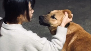 狗子:我又不傻你这孕前孕后明显不是一个级别的