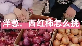 เลือกหัวหอมและมะเขือเทศอย่างไร? Northeast Potato Brother สอนวิธีเลือกผัก