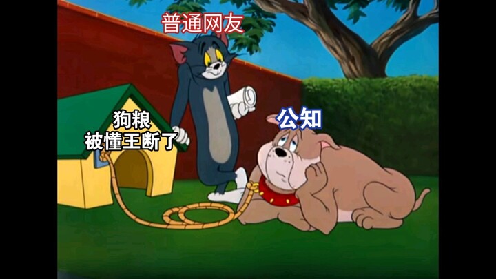 用【猫鼠队】告诉你，舆论战的重要性