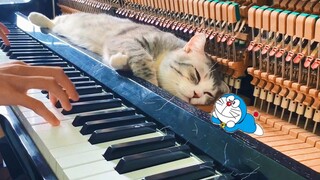 钢琴喵✖哆啦A梦！你更想拥有哪只喵？-哆啦A梦主题曲-Doraemon Theme Song