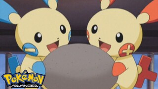 Pokémon AG Tập 314: Plusle và Minun! Ngọn hải đăng trên núi! (Thuyết Minh)