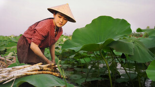 Have you ever tasted ivory-shaped vegetables? (Typha Latifolia)