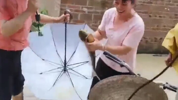 ปลา: เธอทำอะไรที่มีเทคนิคหน่อยสิ!