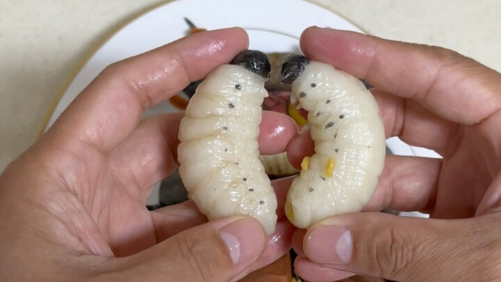 ใครสอนให้คุณนึ่งหมั่นโถวแบบนี้กันนะ…..