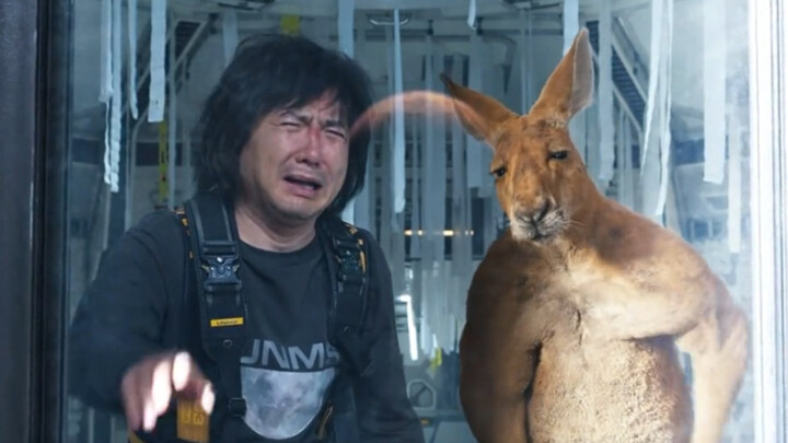 喜剧界的天花板，最后却被袋鼠暴揍！