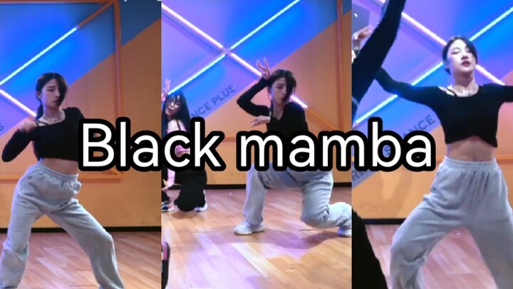 【蔡冰】《Black mamba》宁宁位 直拍
