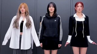 (G) تحدي مكعب كلب I-DLE اللطيف للغاية Yuqi و Minnie و Miyeon