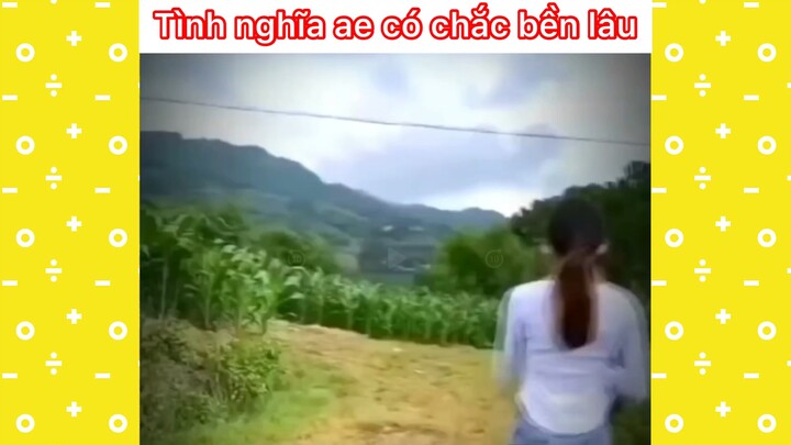 Có chắc bền lâu