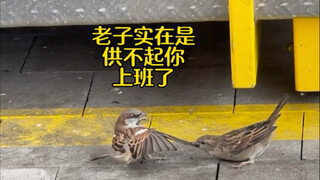 Please don't act strangely