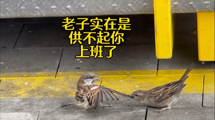 Please don't act strangely