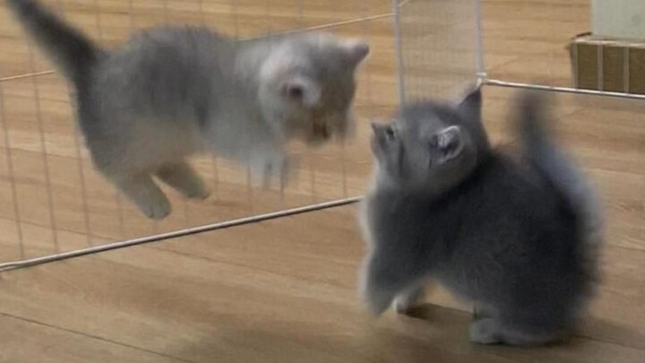 Holy crap, it shut down in a second!