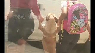 【地球生物搞笑日常#122】