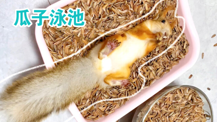 她在游一种很新的泳