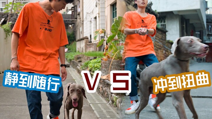 【Transformasi Besar Anjing Bermasalah】 Bagaimana cara mengendalikan anjing yang tiba-tiba melonjak? 