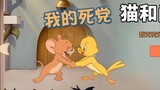 Tom and Jerry mobile game: When you open an intimate relationship, it crashes, faster than deleting 