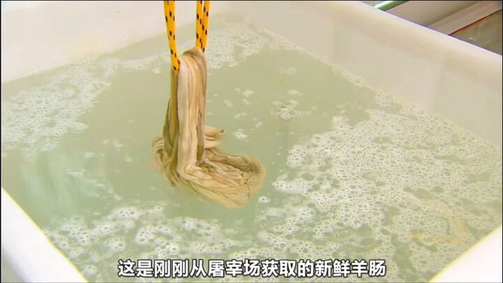 Have you ever heard of violin strings made from sheep intestines?