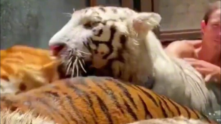 شاب أمريكي يبلغ من العمر 18 عامًا، فشل في مشروعه الريادي، واضطر للعودة إلى المنزل لوراثة حديقة الحيو