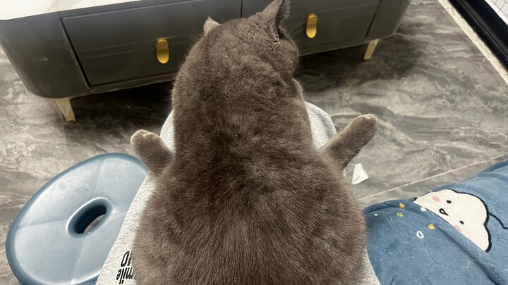 Ghi lại lần đầu tiên trong đời mèo...