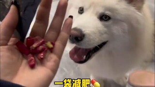 Trước khi ra ngoài ăn, tôi kiểm tra đi kiểm tra lại nhiều lần rằng trên bàn không có thứ gì mà con c