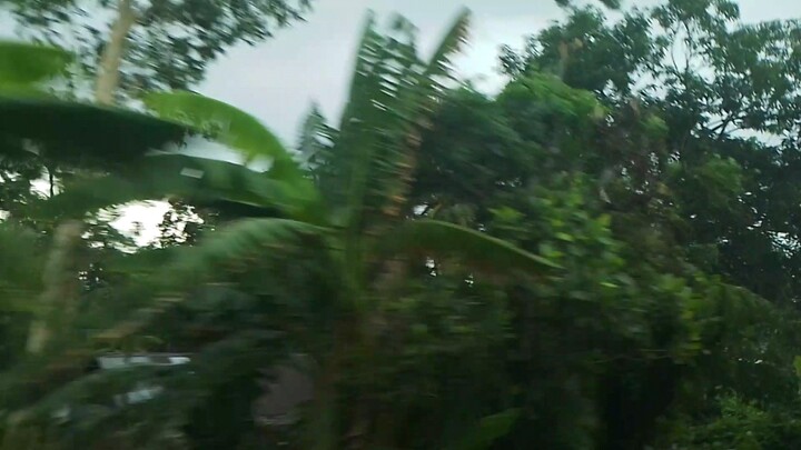 train plus rain