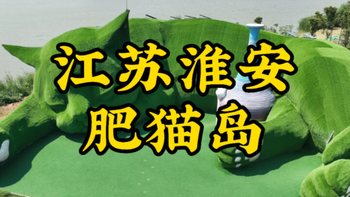 China's own cat island, Fat Cat Island