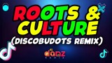 DjDanz Remix - Roots And Culture ( Discobudots Remix ) | Reggae Remix |