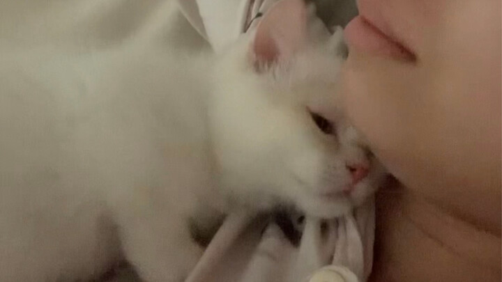 Ai hiểu được giá trị của cảnh này chứ!!!