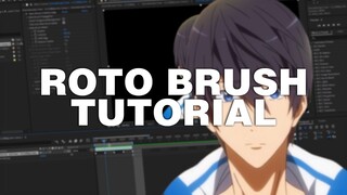 Roto Brush Tutorial | AE CC 19 | Val