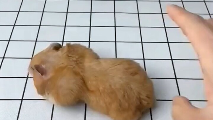 مادام لدينا فراغ anyway، بأسألكم أمرًا: هل أنتم جميعًا متفرغون؟