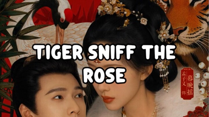 ULAS SINGKAT ALUR DRACHIN BARU TIGERS SNIFF THE ROSE