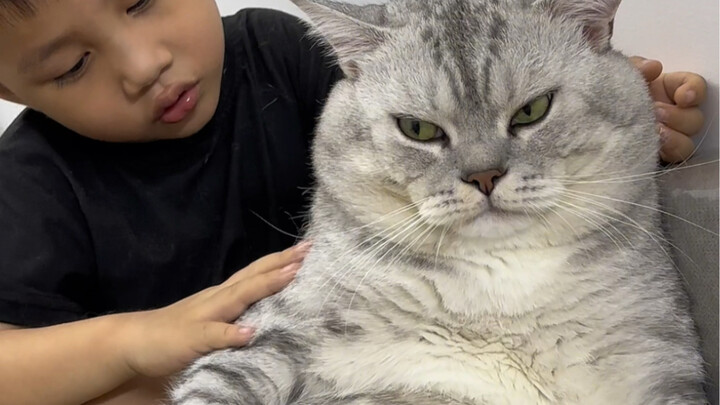 Dazhuang kenyang, tidur dan mendengkur