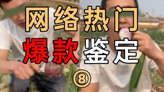 Identification of popular online products 08