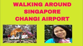 WALKING AROUND SINGAPORE CHANGI AIRPORT || #Anajoie’s Vlog