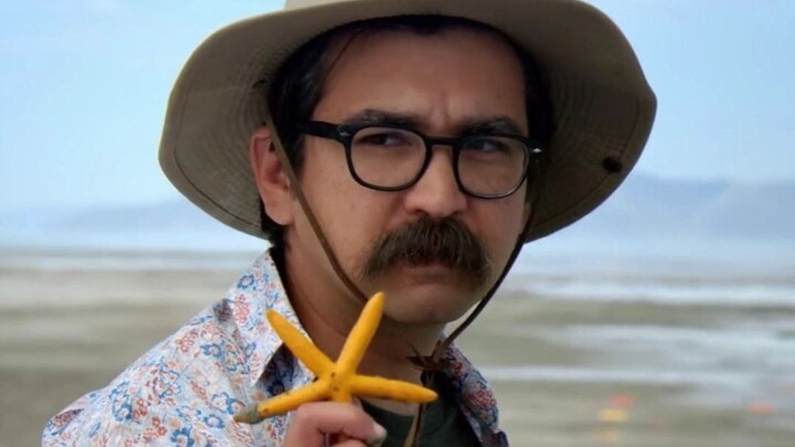 When a starfish gets stranded, do you throw it back into the sea?