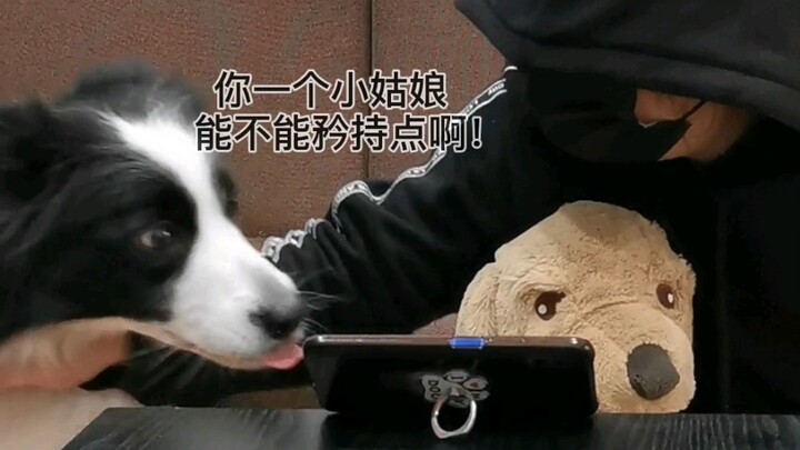 Tantangan Tak Tergerak Hati untuk Anak Anjing Kembali Lagi!