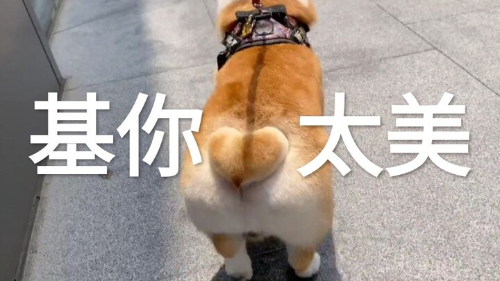 “กีคุณช่างงดงามเหลือเกิน”