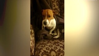 Đỡ không nổi những tình huống khó đỡ #55