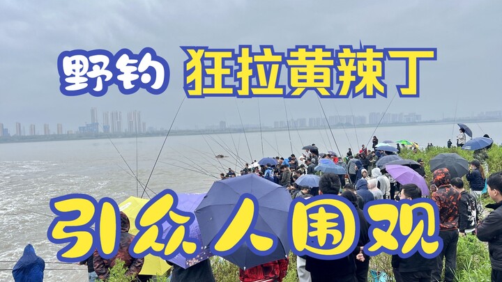 كيف يكون شعورك عندما تُفاجئ الجميع بسحب كميات هائلة من سمك الـهوانغلا دينغ أثناء الصيد البري؟