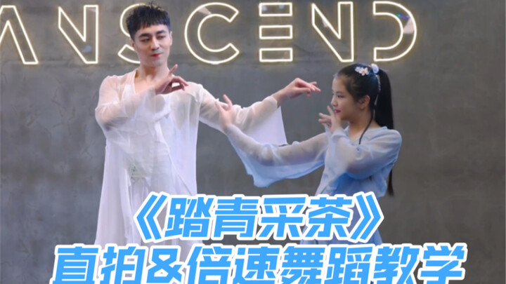 【Bạch Tiểu Bạch】Đại Bạch và Tiểu Thanh cùng nhau nhảy “Đạp Thanh Thưởng Trà” – vũ đạo jazz phong các
