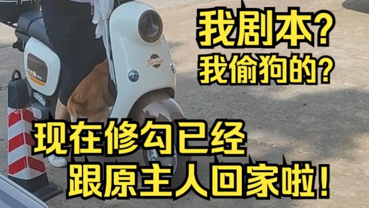 Tu Gou đã cùng chủ nhân về nhà rồi! Kết thúc, tung hoa~