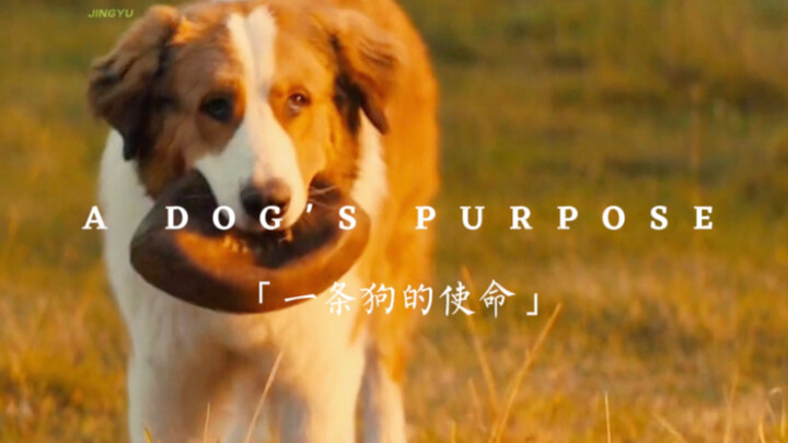 “อยู่กับปัจจุบัน แล้วพยายามรักคนที่คุณรัก”