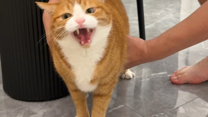 Ini jadi lucu ketika kamu memeluknya