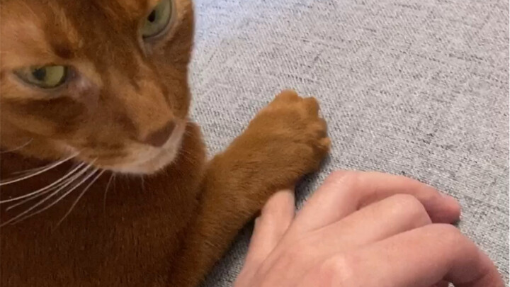 I don’t dare to move either…