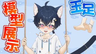 【Live2D模型展示】正太！玉足！云端的猫耳小男孩晓雨