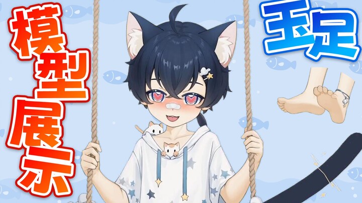 【Live2D模型展示】正太！玉足！云端的猫耳小男孩晓雨
