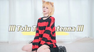 [Dance] น้องแมวน้อยเต้นเพลง Tolu Ting Antenna