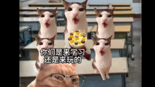 世界破破烂烂，有人缝缝补补