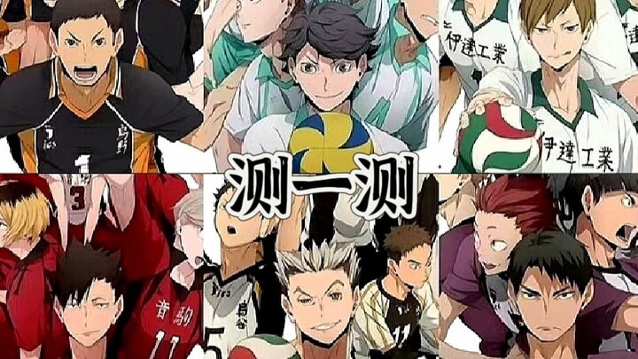 [Haikyu!!] Take the Quiz: Who’s the Best Partner for You? (24 Characters)