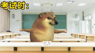 Perbedaan sebelum dan selama ujian!